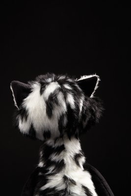 Katt mjukisdjur Cat Macchiato SigiKid BEASTS o