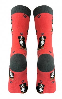 Berner sennenhund strumpor 1-pack ES