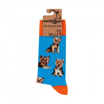 Yorkshireterrier strumpor 2-pack 1 Soctopus