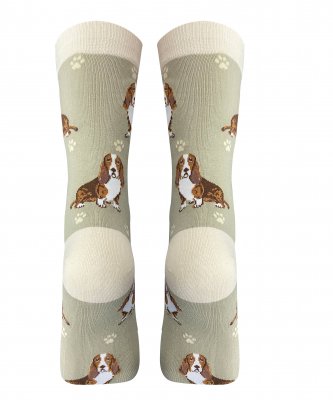 Basset hound strumpor 1-pack ES 1