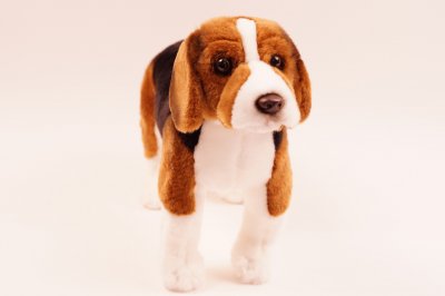 Finsk stövare mjukisdjur