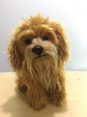 Labradoodle mjukisdjur