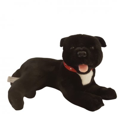 Staffordshire bullterrier gosedjur
