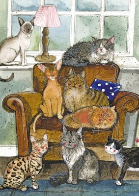 Katt anteckningsbok Cat House Alex Clark