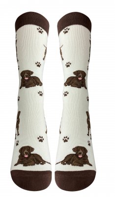 Labrador retriever (brun) strumpor 1-pack ES
