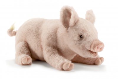 Hansa 4944 Pig