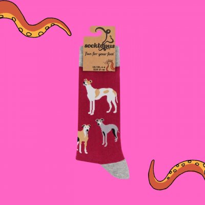 Greyhound / whippet strumpor 2-pack 1 Soctopus