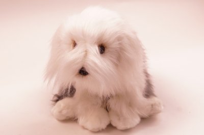 Old english sheepdog mjukisdjur