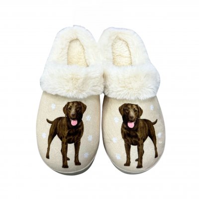 Labrador retriever (brun) tofflor ES