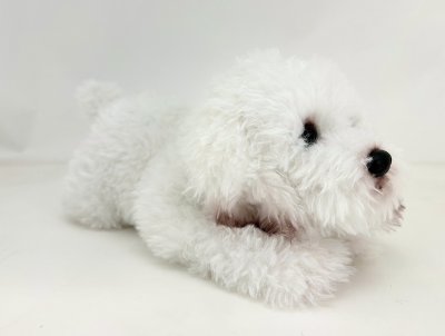 Bichon frisé mjukisdjur 30 cm Vivantti