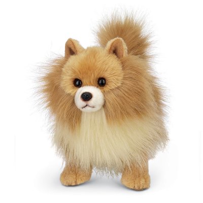 Pomeranian gosedjur