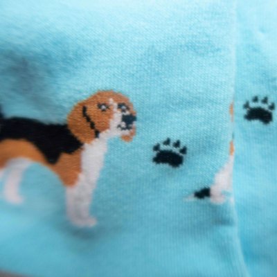 Beagle strumpor 1-pack dam Imagery
