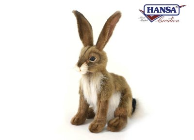 5431 jack rabbit Hansa