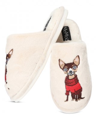 Chihuahua morgontofflor IC