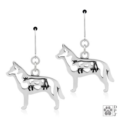 Australian cattledog örhängen av silver med ko