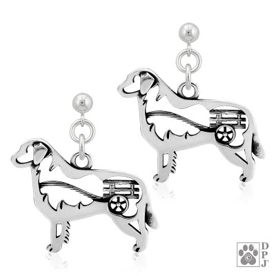 Berner sennenhund örhängen av silver med vagn