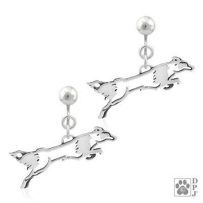 Border collie örhängen