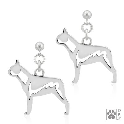 Bostonterrier örhängen av silver helfigur