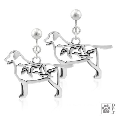 Labrador örhänge