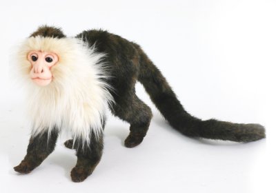Kapucinapa mjukisdjur 20 cm 5851 Hansa