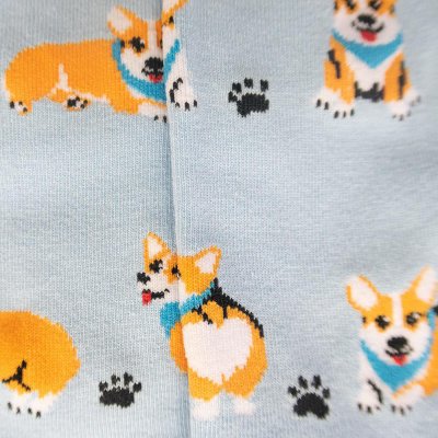 Welsh corgi pembroke strumpor 1-pack dam Imagery