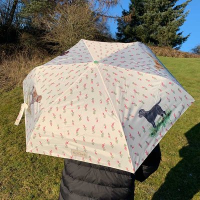 Jakthundar paraply Alex Clark