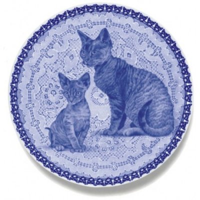 Devon rex prydnadstallrik Lekven 6015