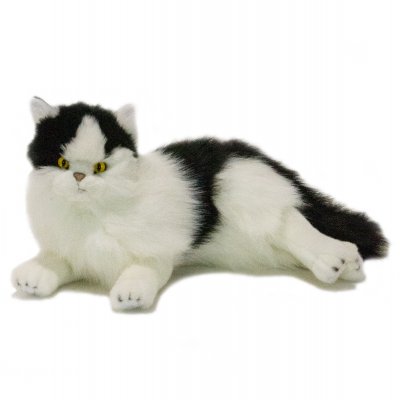 Katt mjukisdjur
