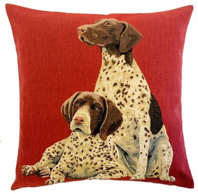 Korthårig vorsteh kuddfodral 45 cm från Belgien 4