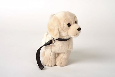 Golden retriever mjukisdjur med koppel UNI