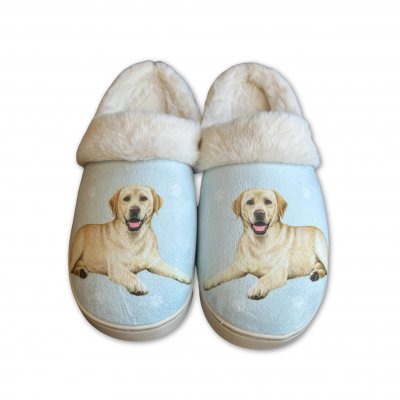Labrador retriever (gul) tofflor ES