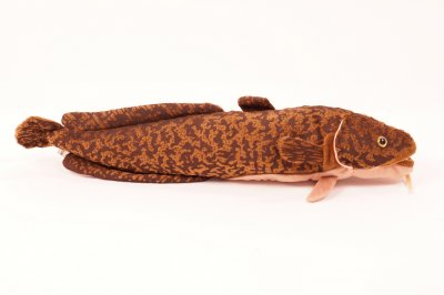 Lake fisk mjukisdjur 43 cm Vivantti