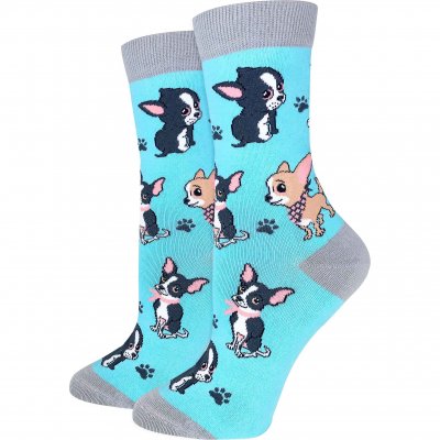 Chihuahua strumpor