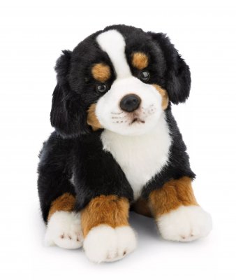 Berner sennenhund mjukisdjur 20 cm Nici