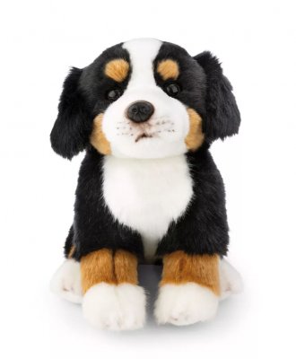 Berner sennenhund mjukisdjur 20 cm Nici
