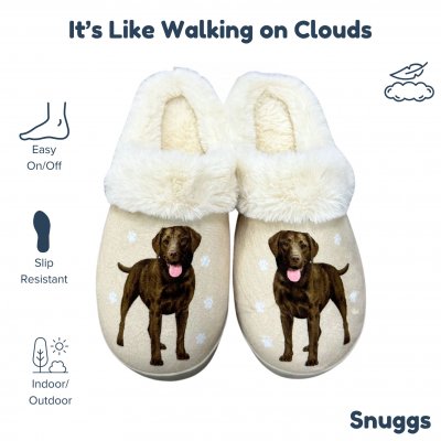 Labrador retriever (brun) tofflor ES
