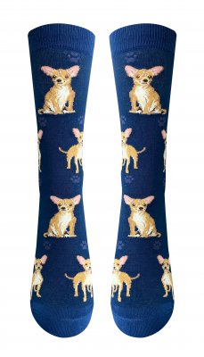 Chihuahua (korthårig) strumpor 1-pack ES o