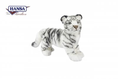 Hansa White tiger standing