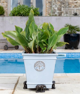 Elefant krukfötter 3-pack