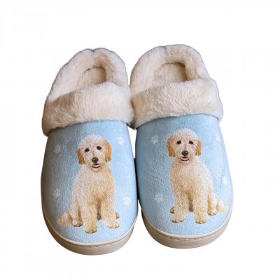 Goldendoodle tofflor ES