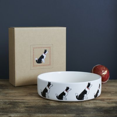 Border collie matskål Sweet William