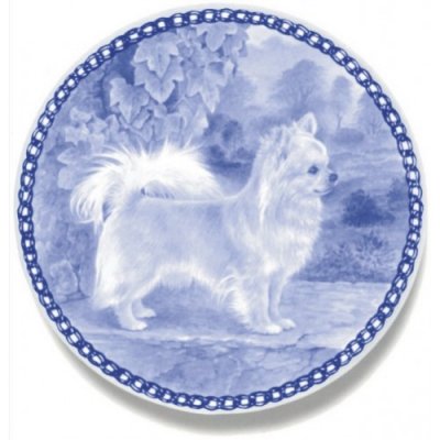 Chihuahua Lekven design