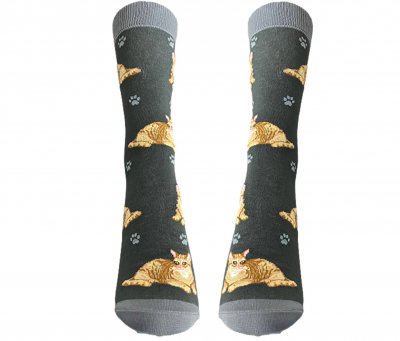 Katt strumpor orange tabby 1-pack ES 1