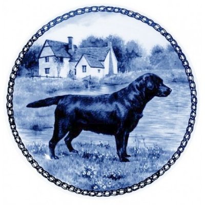 Labrador lekven design