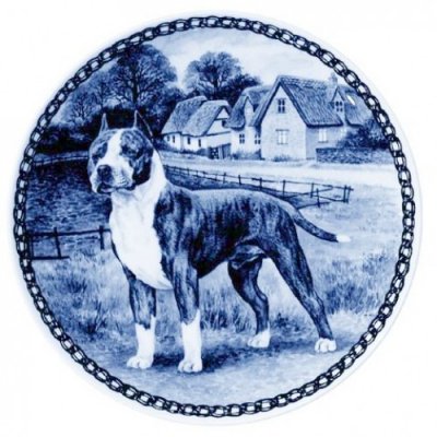 American staffordshire terrier Lekven design
