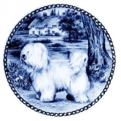 Coton de tuléar Lekven design