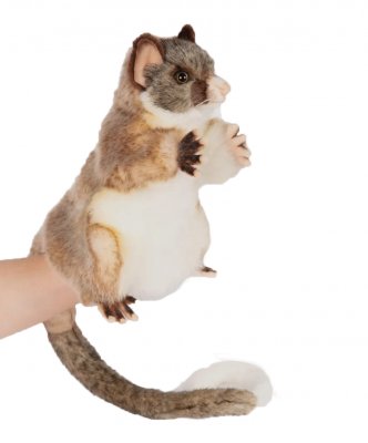 Pungräv handdocka brush tailed possum 7357 Hansa