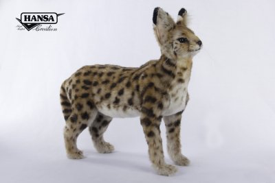 Serval mjukisdjur African Serval Cat 7372 Hansa