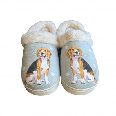 Beagle tofflor ES
