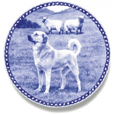 Kangal çoban köpegi Lekven design
